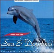 Sea and Dolphins